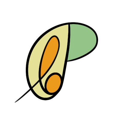 Agence de Communication Visuelle